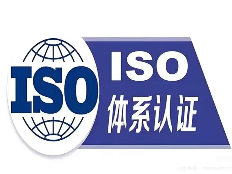 雷恩顺利通过ISO9001质量管理体系认证